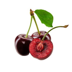 095B9F56-9EE0-4EC5-9A7C-2F0A9511554E