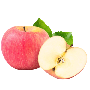 0C38AE11-2582-40C5-AC19-15EE61426418