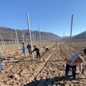 181630C2-5E32-43F5-B508-09C750F72423