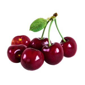 19E61138-DC14-4818-94D7-EB567D292518