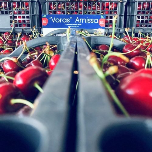 259BC4C4-7F0B-45EB-8F99-7C370A3D6301