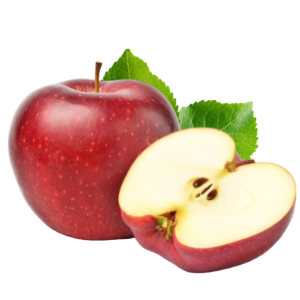 2F756DEE-3E14-4D75-82DB-6E15B120FCA5