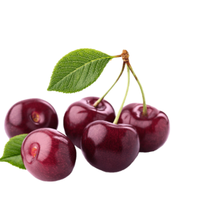 3D1FB284-379A-4267-9569-9AF5B4DE4132