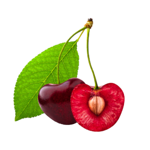 3E2DED86-2394-4026-B0CC-14C438DE779C