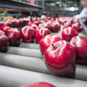 531FB502-8EB6-4086-8773-6B55EE93FF6C