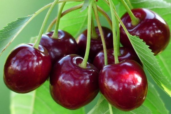 67BE6F09-02AE-4722-97DB-8D4C84B1F346