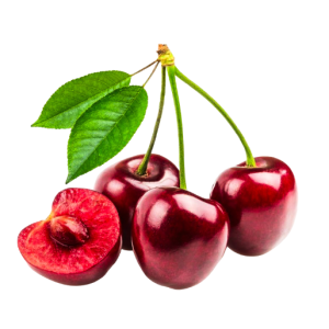 6E9AE000-AD6E-4E85-908E-3B9C9CCECF22