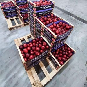 C38DFD16-FEA0-4BF1-99AA-9E10113372C3