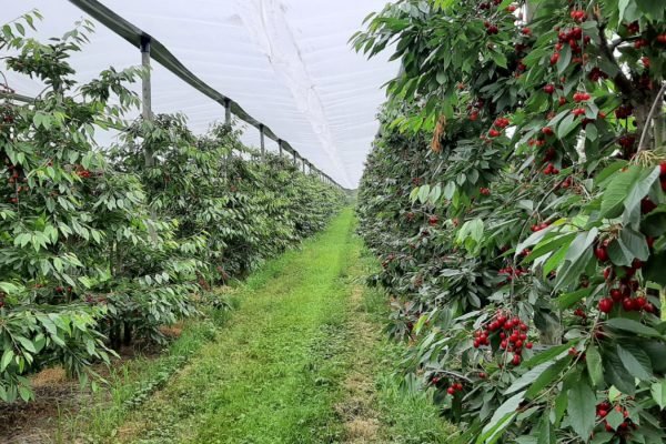 FDDF8BE8-BFA7-4EAB-847D-C144143E8459