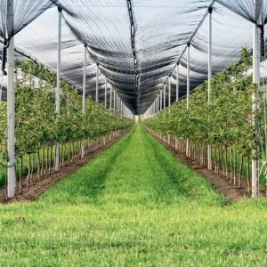 FF4685C3-4AD6-4F51-BFD3-5BA1449B180D